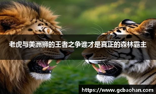 k1体育官方网站