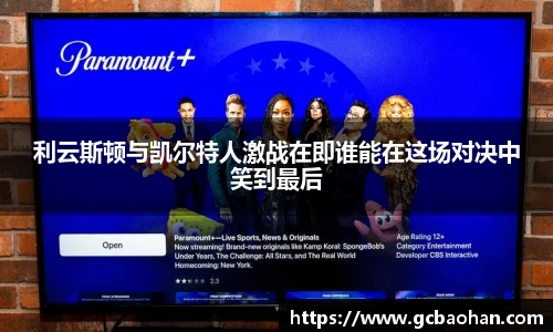 k1体育官方网站