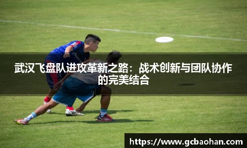k1体育
